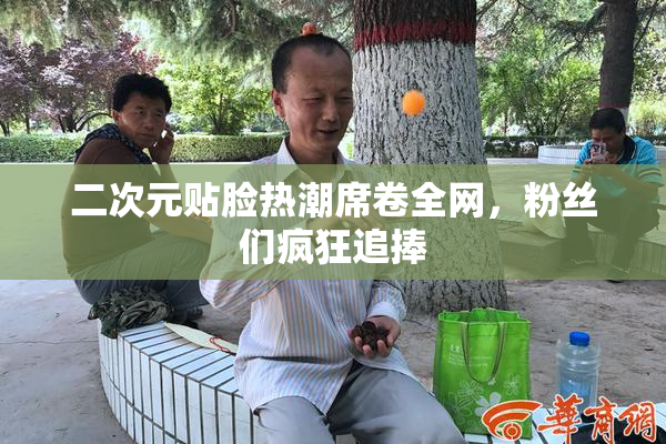 二次元贴脸热潮席卷全网，粉丝们疯狂追捧