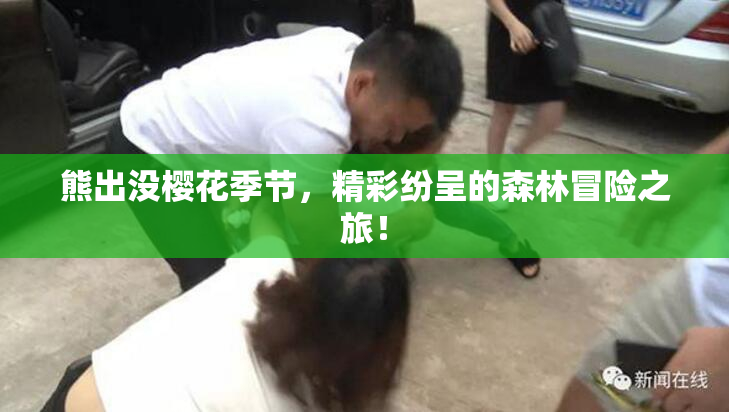 熊出没樱花季节，精彩纷呈的森林冒险之旅！
