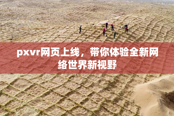 pxvr网页上线，带你体验全新网络世界新视野