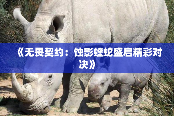 《无畏契约：蚀影蝰蛇盛启精彩对决》
