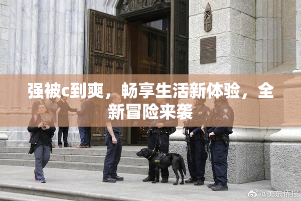 强被c到爽，畅享生活新体验，全新冒险来袭