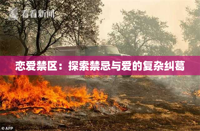 恋爱禁区：探索禁忌与爱的复杂纠葛