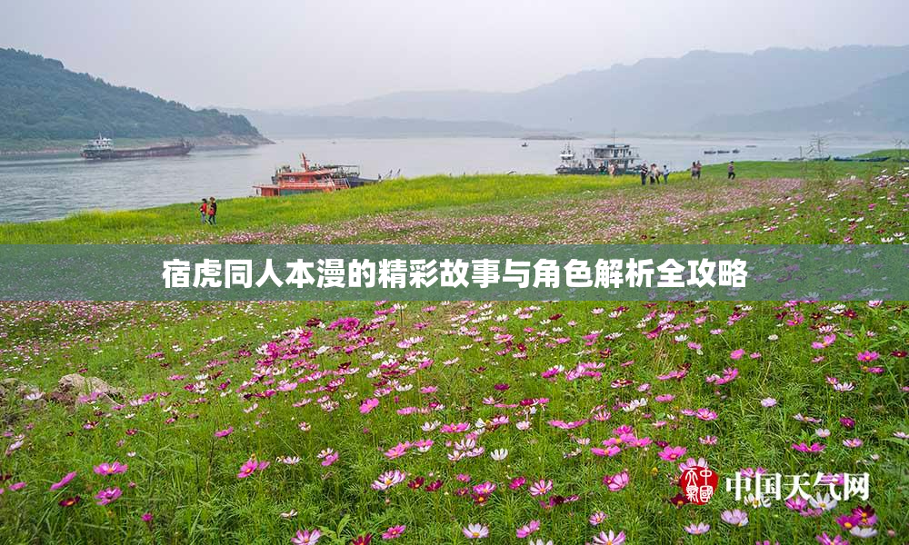宿虎同人本漫的精彩故事与角色解析全攻略