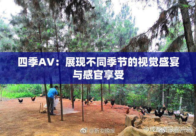 四季AV：展现不同季节的视觉盛宴与感官享受