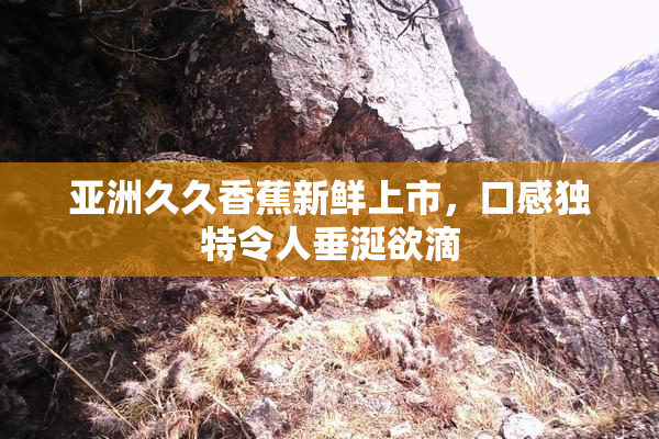 亚洲久久香蕉新鲜上市，口感独特令人垂涎欲滴