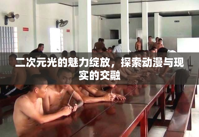 二次元光的魅力绽放，探索动漫与现实的交融