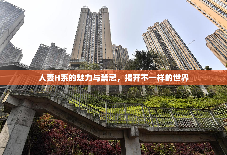 人妻H系的魅力与禁忌，揭开不一样的世界