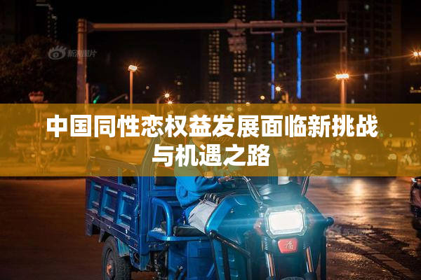 中国同性恋权益发展面临新挑战与机遇之路