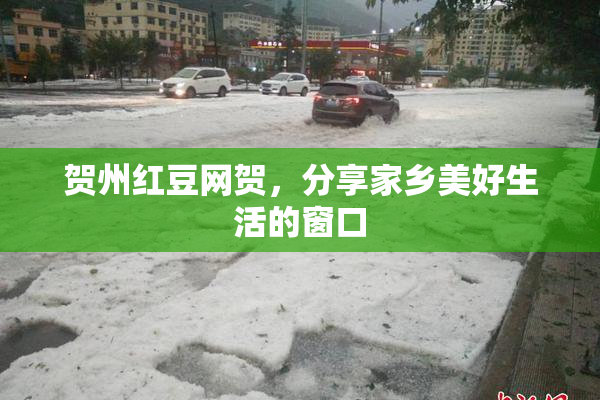 贺州红豆网贺，分享家乡美好生活的窗口