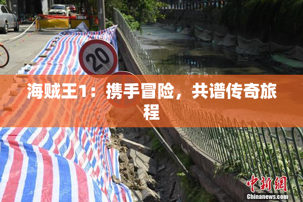 海贼王1：携手冒险，共谱传奇旅程