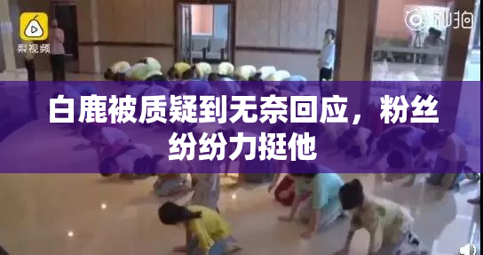 白鹿被质疑到无奈回应，粉丝纷纷力挺他
