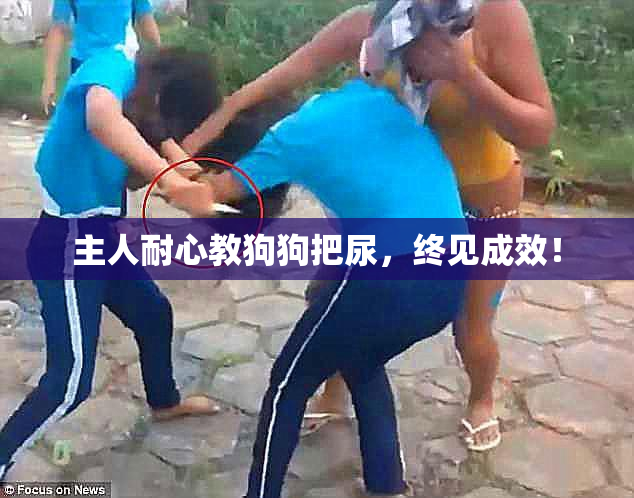 主人耐心教狗狗把尿，终见成效！
