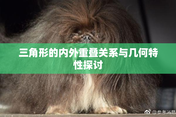 三角形的内外重叠关系与几何特性探讨