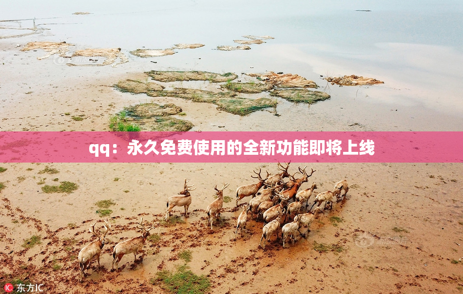 qq：永久免费使用的全新功能即将上线