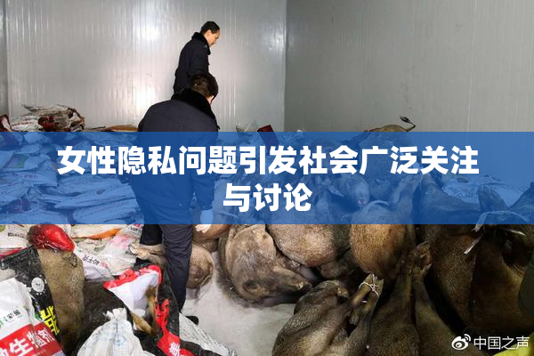 女性隐私问题引发社会广泛关注与讨论