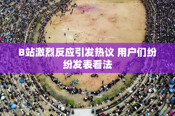 B站激烈反应引发热议 用户们纷纷发表看法