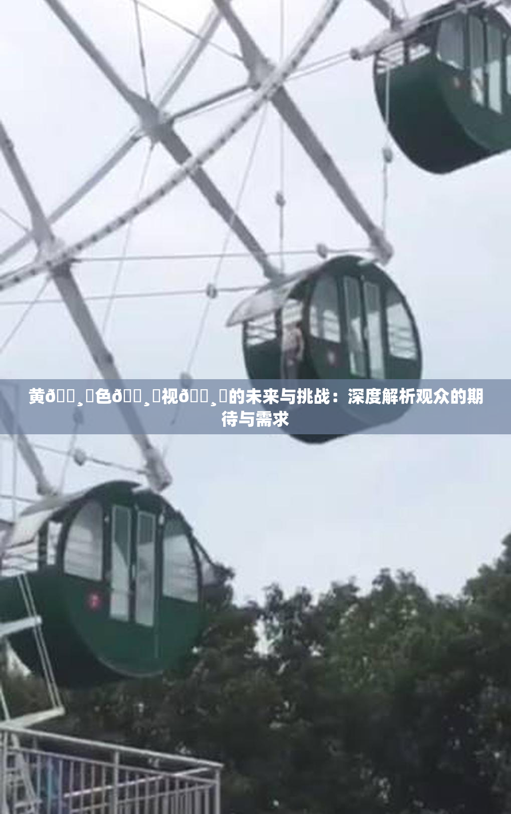 黄🌸‌色🌸‌视🌸‌的未来与挑战：深度解析观众的期待与需求