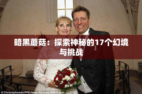 暗黑蘑菇：探索神秘的17个幻境与挑战