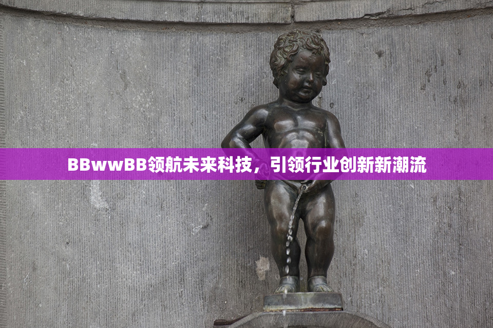 BBwwBB领航未来科技，引领行业创新新潮流