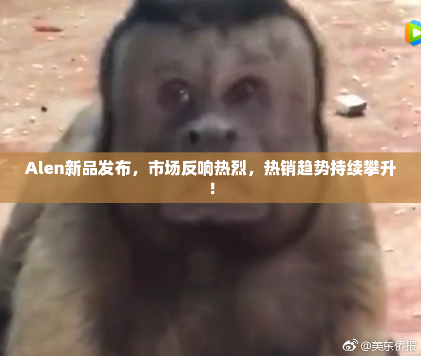 Alen新品发布，市场反响热烈，热销趋势持续攀升！