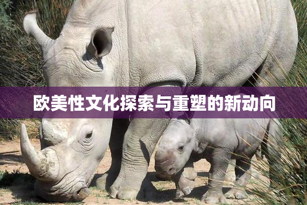 欧美性文化探索与重塑的新动向