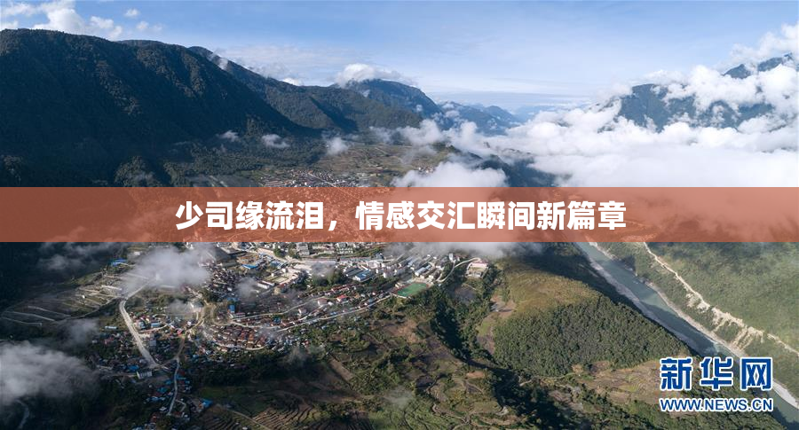 少司缘流泪，情感交汇瞬间新篇章