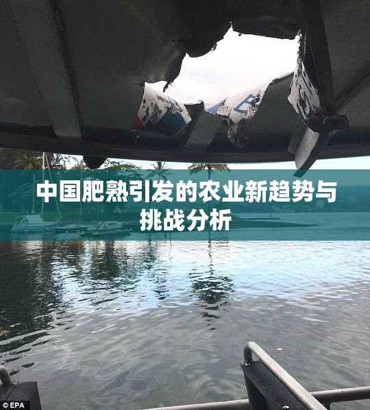 中国肥熟引发的农业新趋势与挑战分析