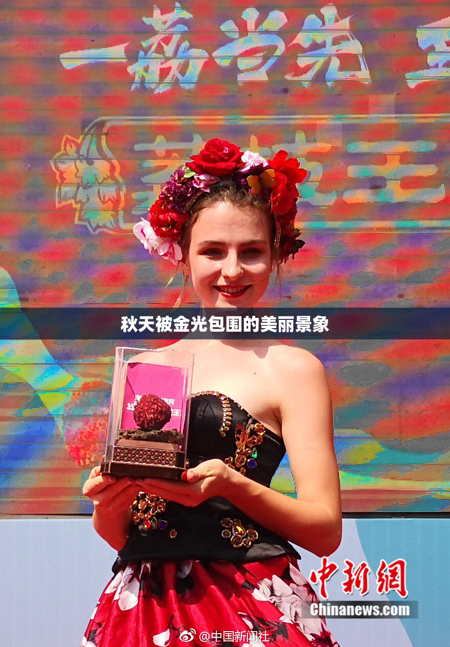 秋天被金光包围的美丽景象