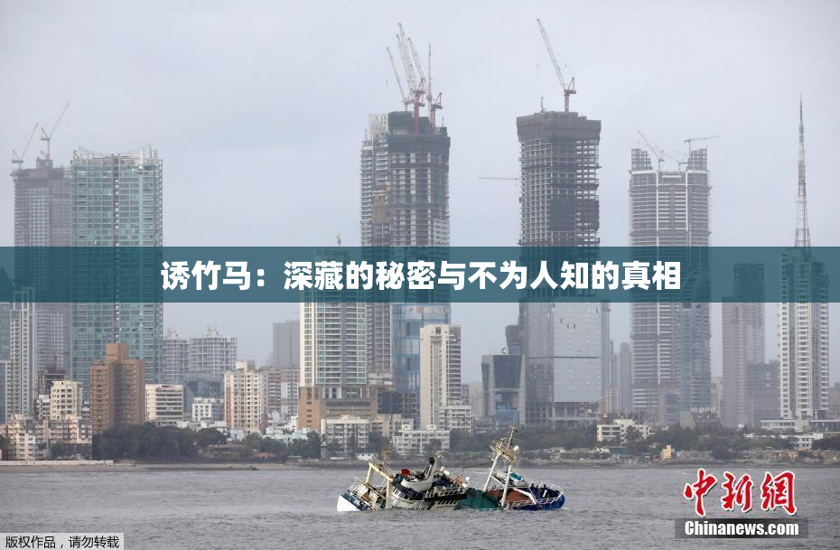 诱竹马：深藏的秘密与不为人知的真相