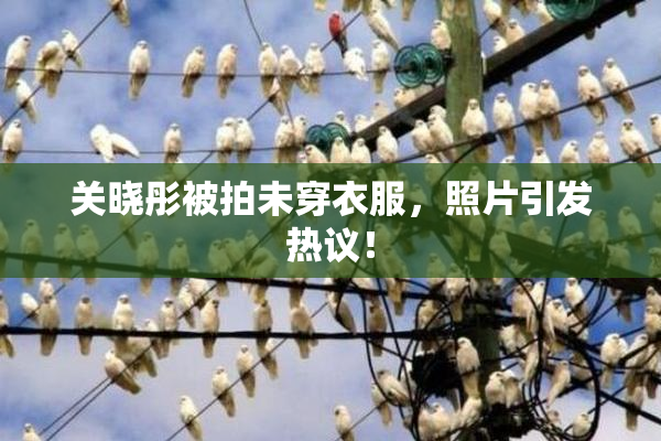 关晓彤被拍未穿衣服，照片引发热议！