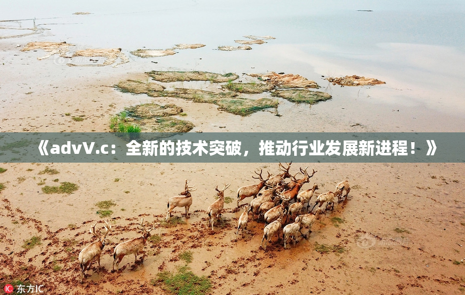 《advV.c：全新的技术突破，推动行业发展新进程！》