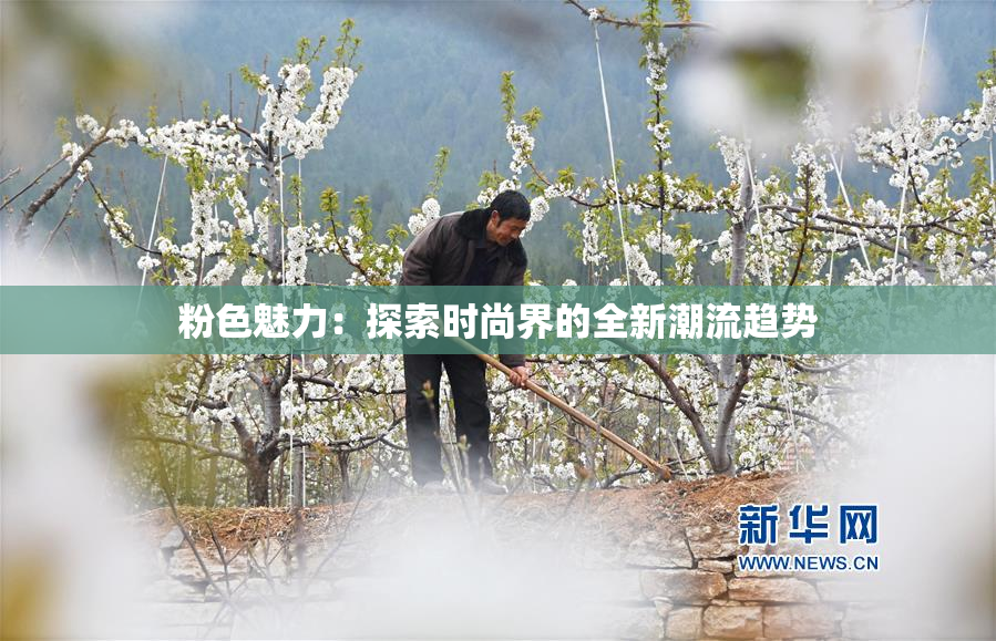 粉色魅力：探索时尚界的全新潮流趋势