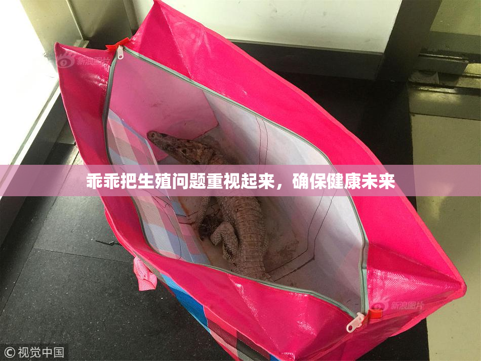 乖乖把生殖问题重视起来，确保健康未来
