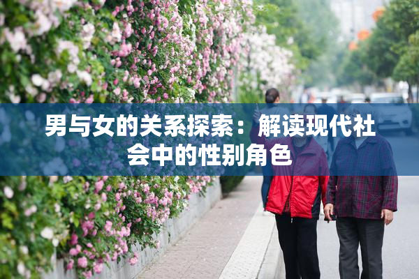 男与女的关系探索：解读现代社会中的性别角色