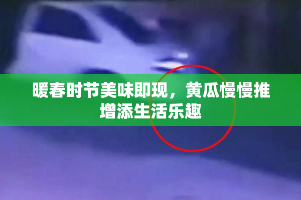 暖春时节美味即现，黄瓜慢慢推增添生活乐趣