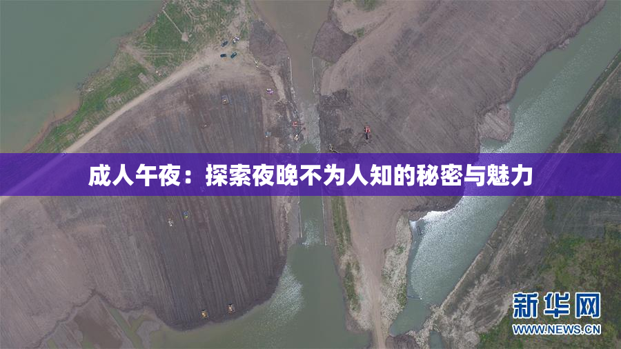 成人午夜：探索夜晚不为人知的秘密与魅力