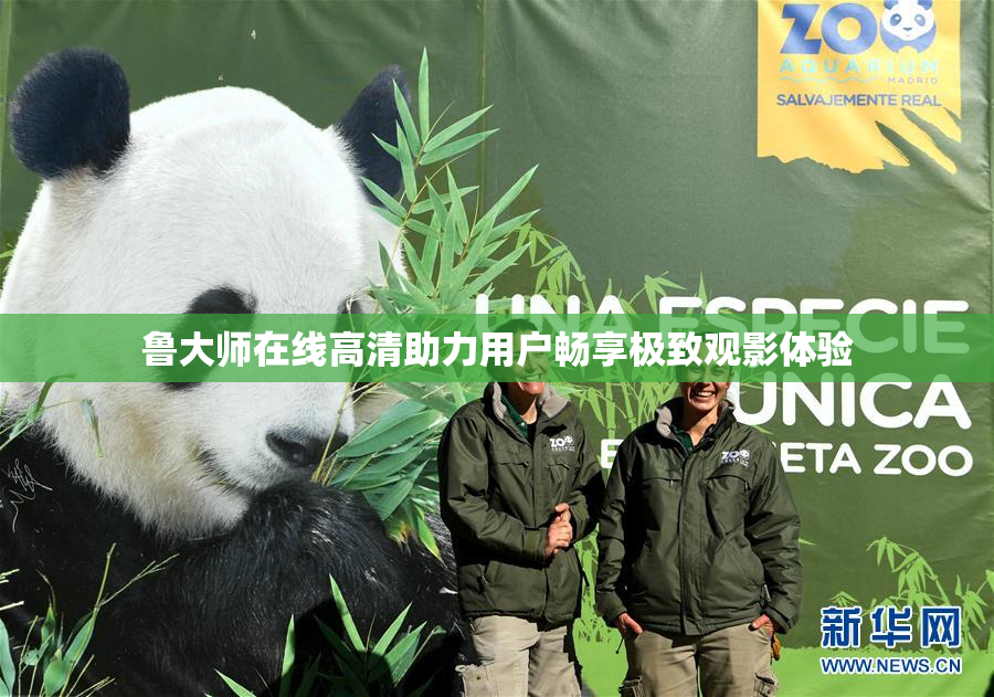 鲁大师在线高清助力用户畅享极致观影体验