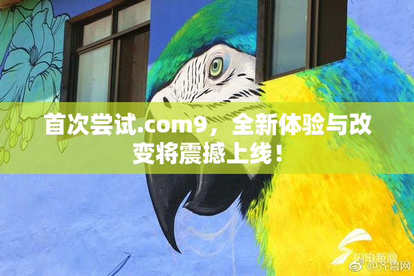 首次尝试.com9，全新体验与改变将震撼上线！