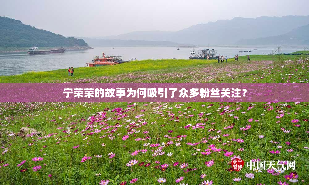 宁荣荣的故事为何吸引了众多粉丝关注？