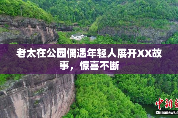 老太在公园偶遇年轻人展开XX故事，惊喜不断