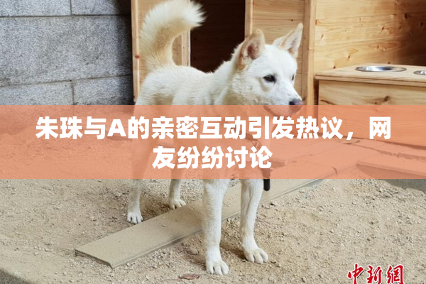 朱珠与A的亲密互动引发热议，网友纷纷讨论
