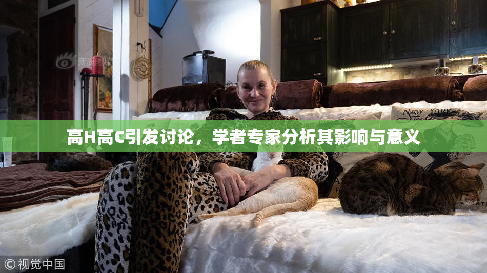 高H高C引发讨论，学者专家分析其影响与意义