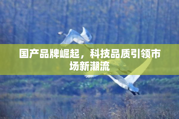 国产品牌崛起，科技品质引领市场新潮流