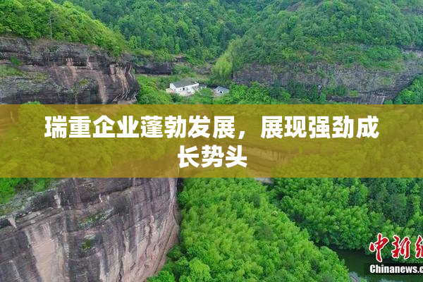 瑞重企业蓬勃发展，展现强劲成长势头