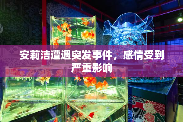 安莉洁遭遇突发事件，感情受到严重影响