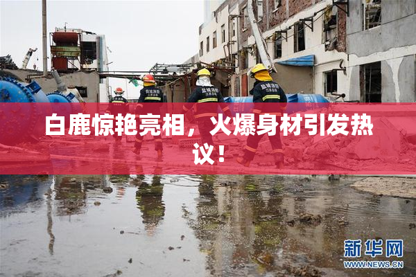 白鹿惊艳亮相，火爆身材引发热议！