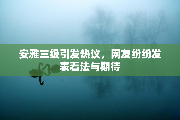 安雅三级引发热议，网友纷纷发表看法与期待