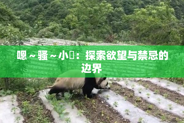 嗯～骚～小婬：探索欲望与禁忌的边界