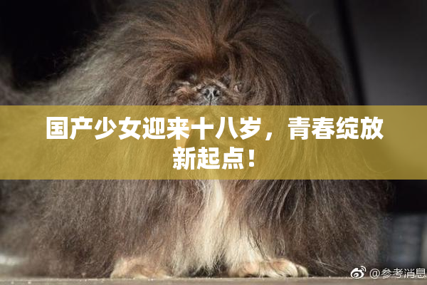 国产少女迎来十八岁，青春绽放新起点！