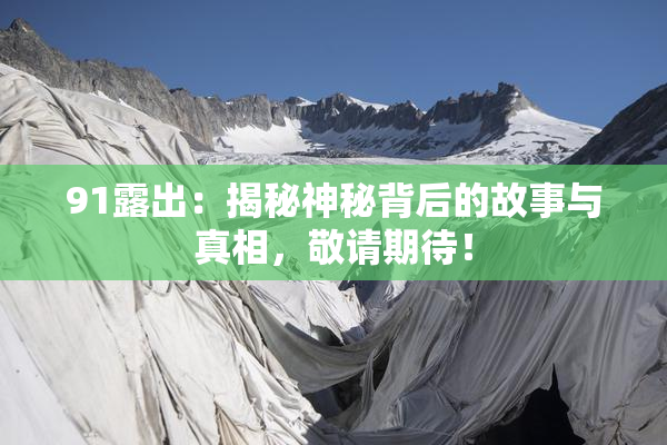 91露出：揭秘神秘背后的故事与真相，敬请期待！